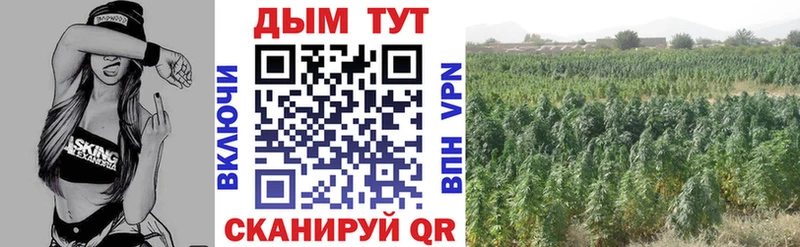 Цена Белая Калитва Каннабис Меф Cocaine АМФЕТАМИН Гашиш A-PVP