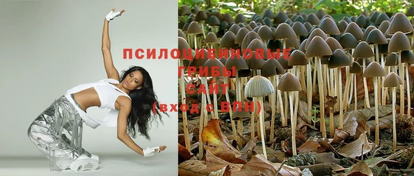 соль курить ск Алзамай
