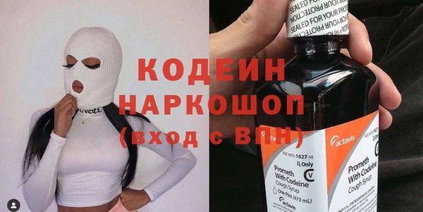 крисы Абаза