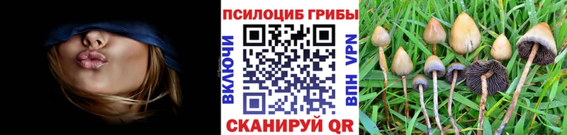 Псилоцибиновые грибы мицелий Белая Калитва